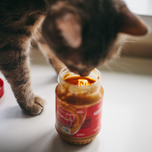 Peanut Butter Affect a Cat's Digestive System