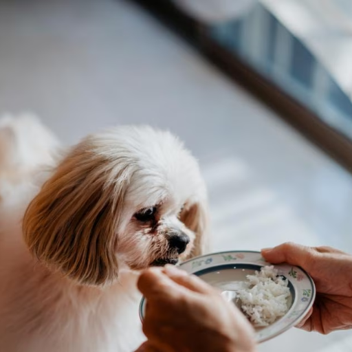 Can Dogs Eat Rice? A Comprehensive Guide for Dog Owners