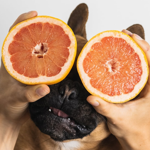 Is Grapefruit Safe for Dogs? Understanding the Risks and Benefits