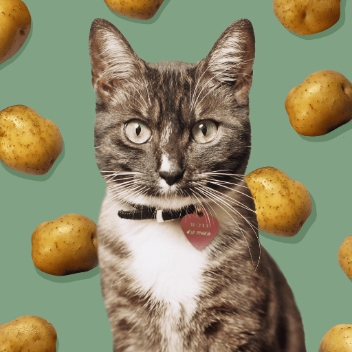 Can Cats Eat Potatoes? Unveiling the Truth About Cats and Potatoes
