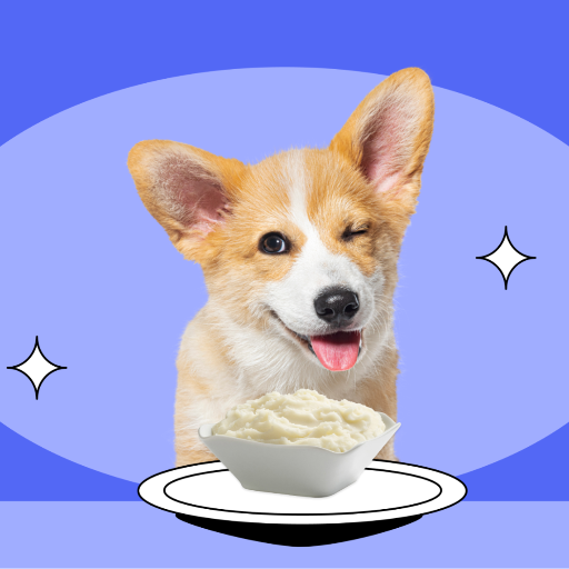 Can Dogs Eat Mashed Potatoes? Understanding the Risks and Benefits
