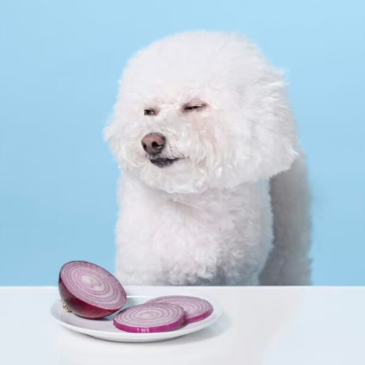 Can Dogs Eat Onions? Understanding Onion Poisoning in Dogs