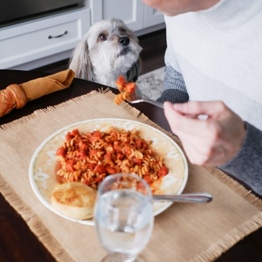 Is Tomato Sauce Safe for Dogs to Eat? Understanding the Risks and Benefits
